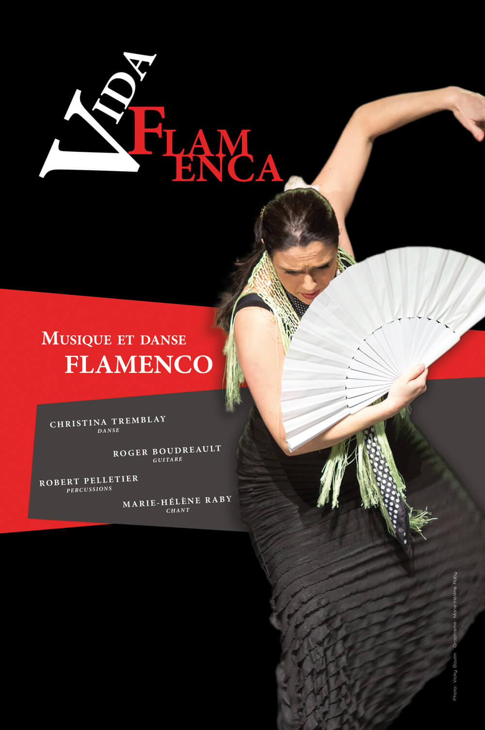 Projet affiche Vida Flamenca