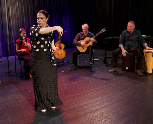 Vidéo promotionnel de Vida Flamenca